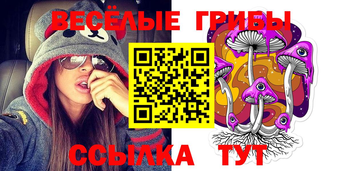 Псилоцибиновые грибы прущие грибы  Вход с VPN  Сокол  Псилоцибиновые грибы Cubensis 
